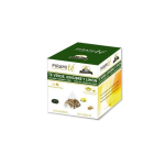 CAJA 10 PIRAMITÉS TÉ VERDE CON JENGIBRE Y LIMÓN